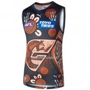 Camiseta GWS Giants AFL 2024 Indigena